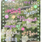 SEOTTY ♡