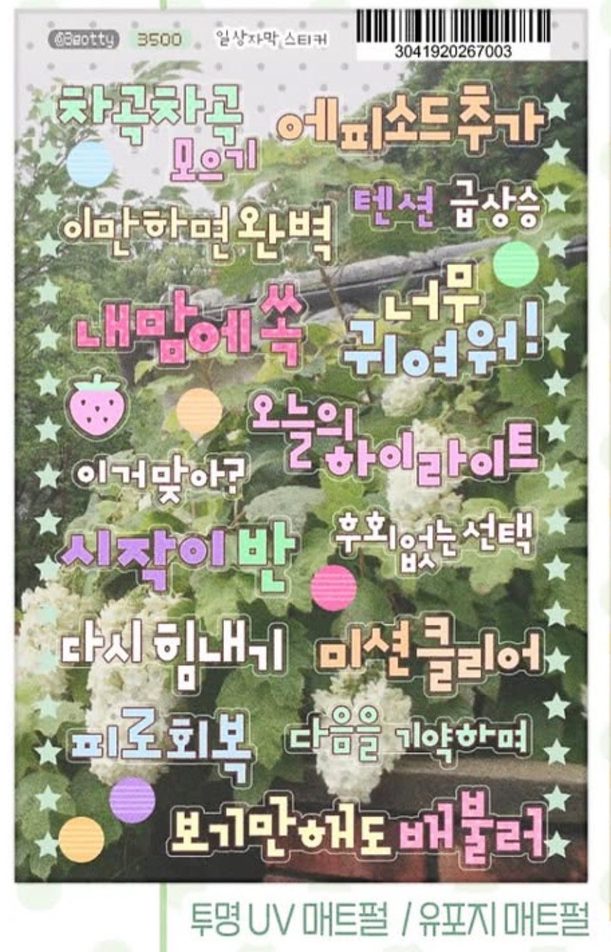 SEOTTY ♡