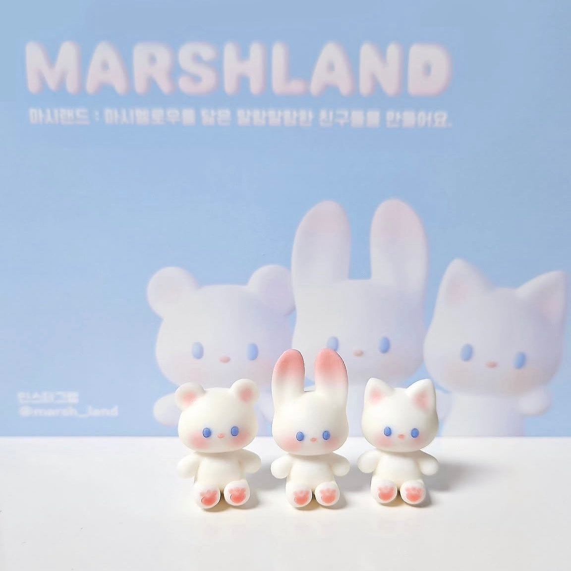 MARSH LAND ♡