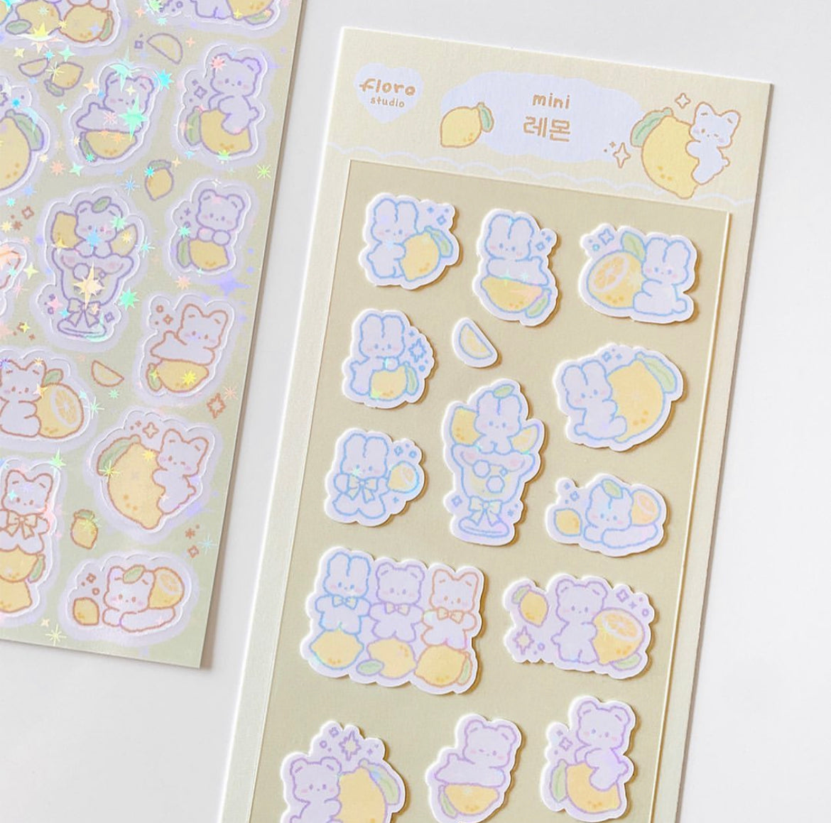 FLORO STUDIO PT. 2 ♡