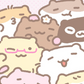 HAMS CLUB ♡
